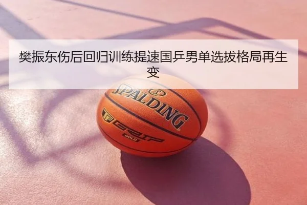 樊振东伤后回归训练提速国乒男单选拔格局再生变